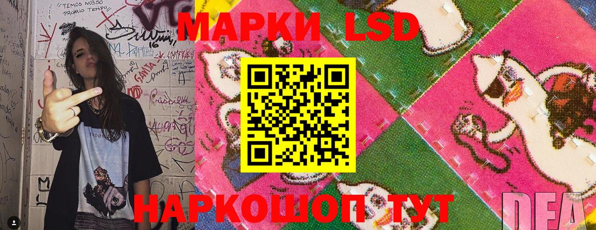 Марки N-bome  Вход с VPN  Верхняя Пышма  Марки N-bome 1,8мг 