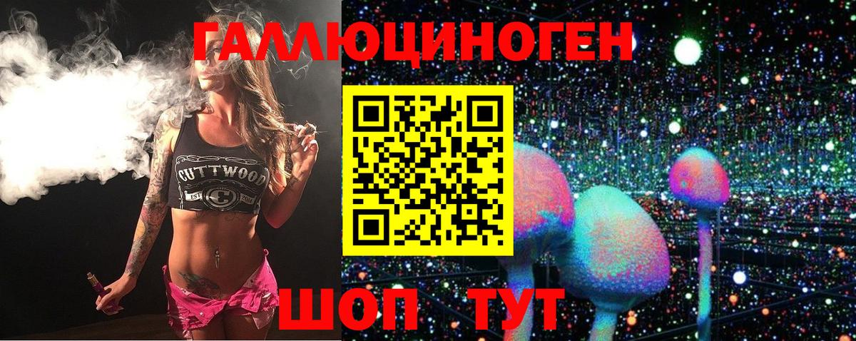 Псилоцибиновые грибы мицелий Верхняя Пышма